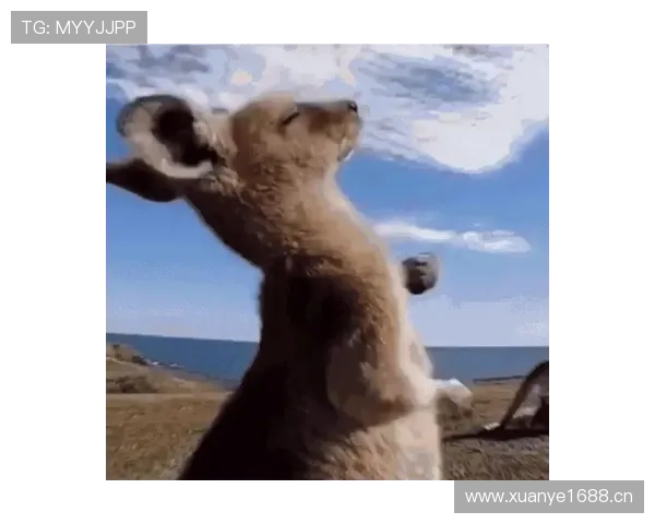 管晨辰居然连家里小狗都比我豪华，这生活差距也太大了吧