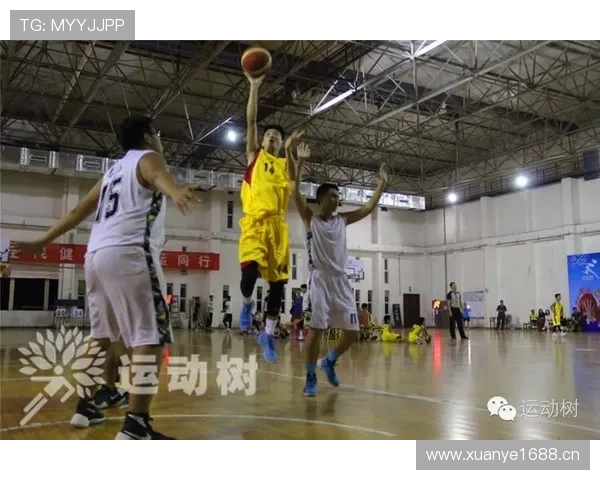 全面解读球队犯规累计规则及其触发罚球状态的具体条件与流程